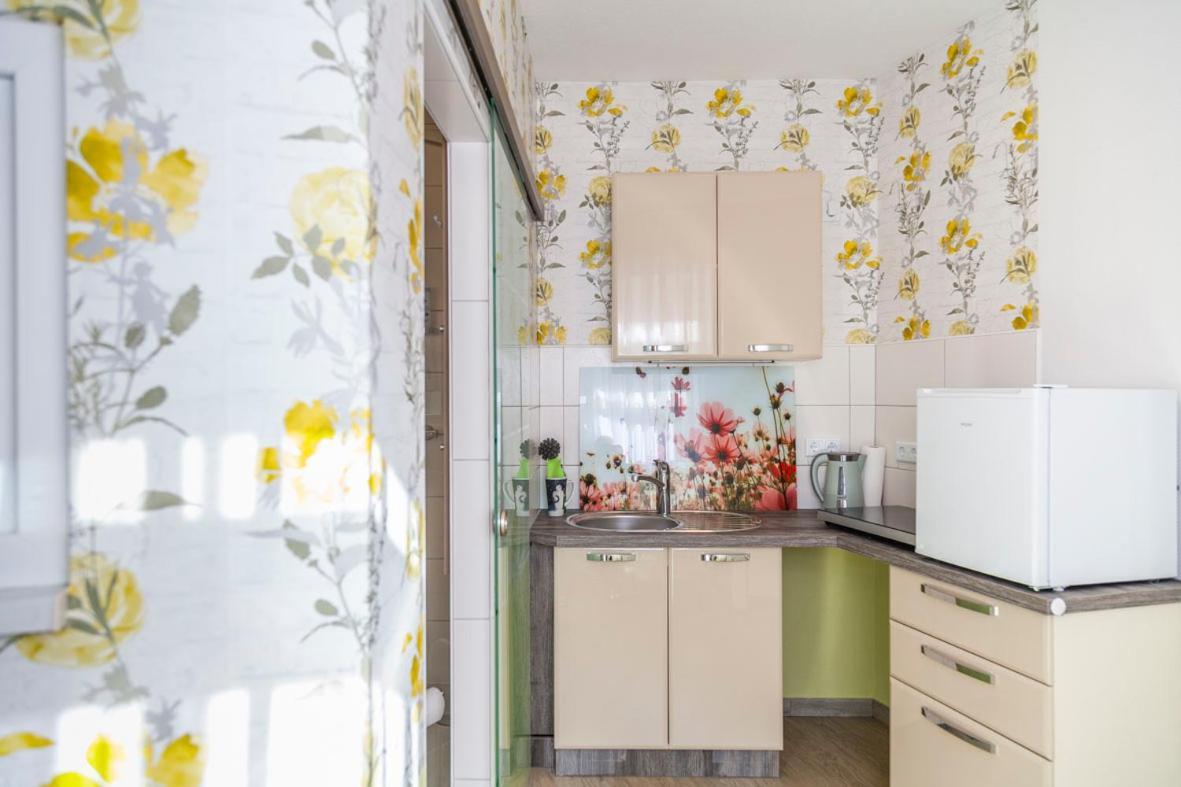 Sonnenhof Plauen Apartment Екстериор снимка